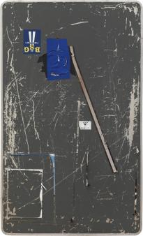 BSG_KmBn_Ha1_Rep_fa_3000h