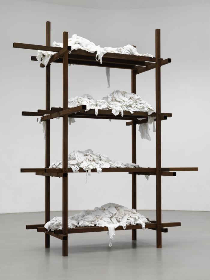 Stareg_HDLU_Ha1_vlschrglina_3000h